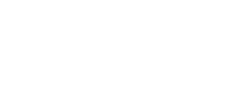 AAN-Footer-Logo